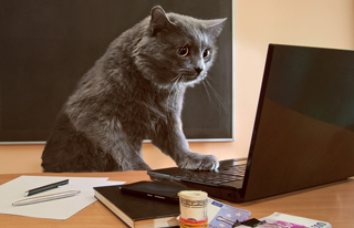 洛阳网页设计的时候需要注意什么？ 