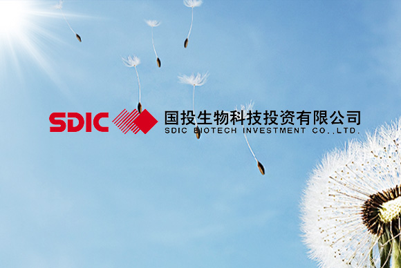 国投生物科技投资有限公司网站建设 